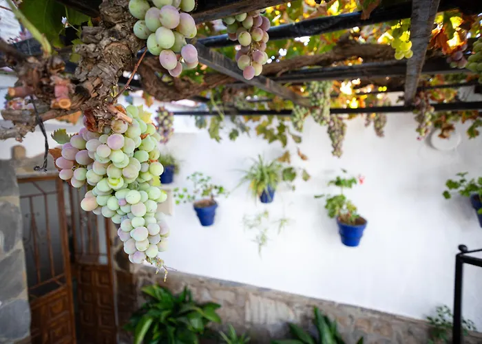 Appartamento The Pava's House