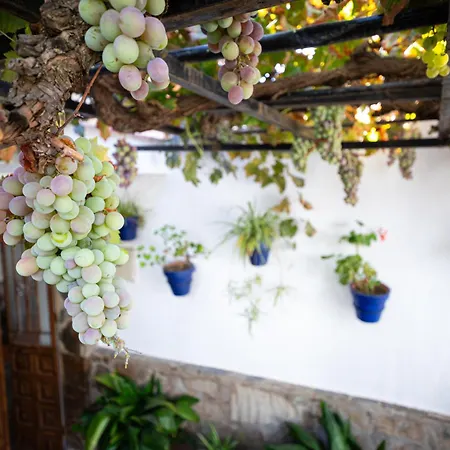 Lägenhet The Pava's House